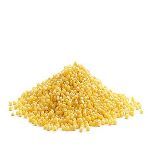 Choix de l'importateur de grains de millet jaune séché non gluant de haute qualité de France pour les oiseaux - Product Image 2