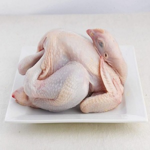 Vente en gros de poulet entier biologique congelé sans boîte Halal certifié avec vitamines et pieds de poulet parfait pour les restaurants - Product Image 2