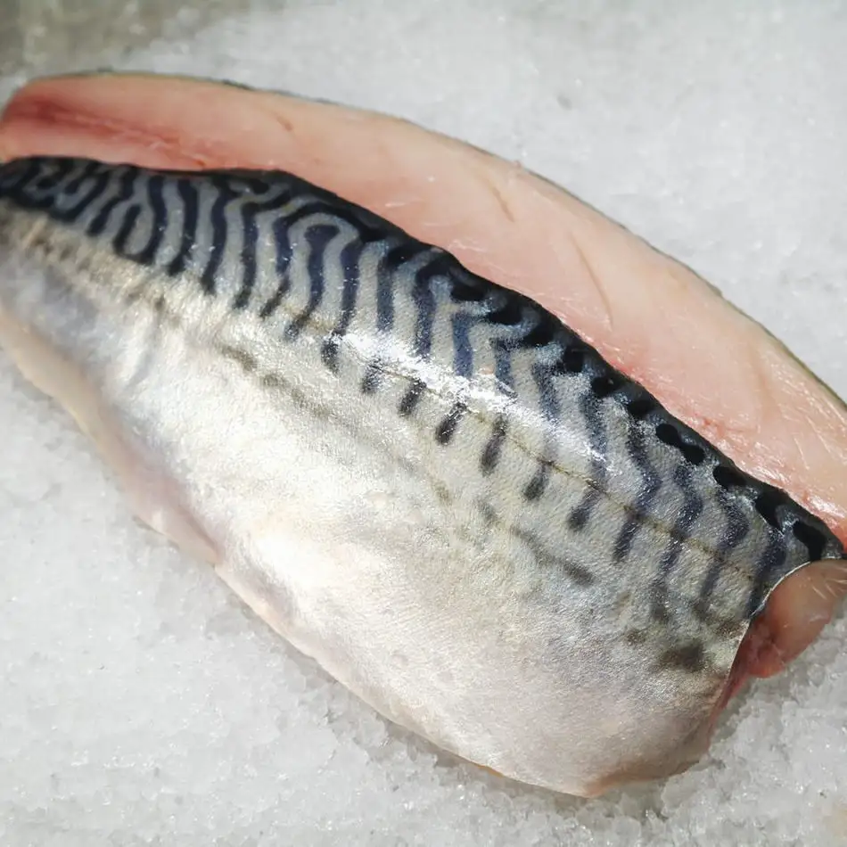 Замороженные животы атлантического лосося для продажи