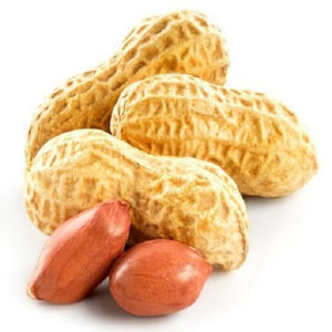 Auténticos granos de cacahuete crudos orgánicos de sabor natural cuidadosamente seleccionados para marcas de aperitivos fabricantes de aceite de panadería caja seca - Product Image 1