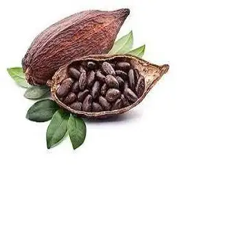 Необработанный какао/какао бобы/нибсы/семена по лучшей цене, купить необработанный какао/какао бобы