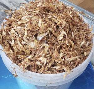 กุ้งเครย์ฟิชแอฟริกันอบแห้งขายส่ง บรรจุภัณฑ์สุญญากาศ คุณภาพสูง 10 กก. ฝรั่งเศส อายุการเก็บรักษา 24 เดือน จัดส่งรวดเร็ว ราคาถูก - Product Image 1