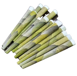 ขายร้อนสีเขียวปาล์มโลตัสม้วนห่อกระดาษกลิ้งไม้และแก้วเคล็ดลับมือรีดปาล์มกลีบโลตัสกรวยจํานวนมากราคาที่ดีที่สุดที่ - Product Image 2