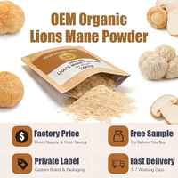 Poudre d'extrait de Hericium Erinaceus (Crinière de lion) en vrac sous marque privée, pure et biologique, double extrait de champignon Crinière de lion