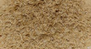 Bulk 20 Mesh Natural Absorbent Animal Bedding <b>Powder</b> Low <b>Dust</b> Raw Material for Pet Cage Litter Manufacturing Wholesale Supply - Product Image 5