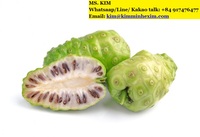 Verse biologische Noni-fruit, ISO-gecertificeerd, 10kg, KMI-merk, met voordelige prijs. HP 0084 917 476 477