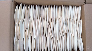 Exportation os de seiche du fournisseur vietnamien à bon prix - Product Image 2