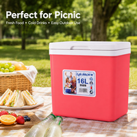 Glacière portable 16L pour camping, pique-nique, plage et pêche