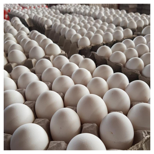 ไข่ไก่ออร์แกนิกธรรมชาติคุณภาพสดรสชาติดีเหมาะสำหรับขนมอบอาหารเช้าและอาหารที่มีคุณค่าทางโภชนาการ - Product Image 4