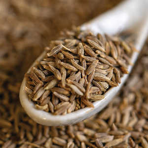 Graines de cumin égyptien de haute qualité, brutes, séchées, en forme de granules, goût épicé, excellent pour la cuisine - Product Image 1