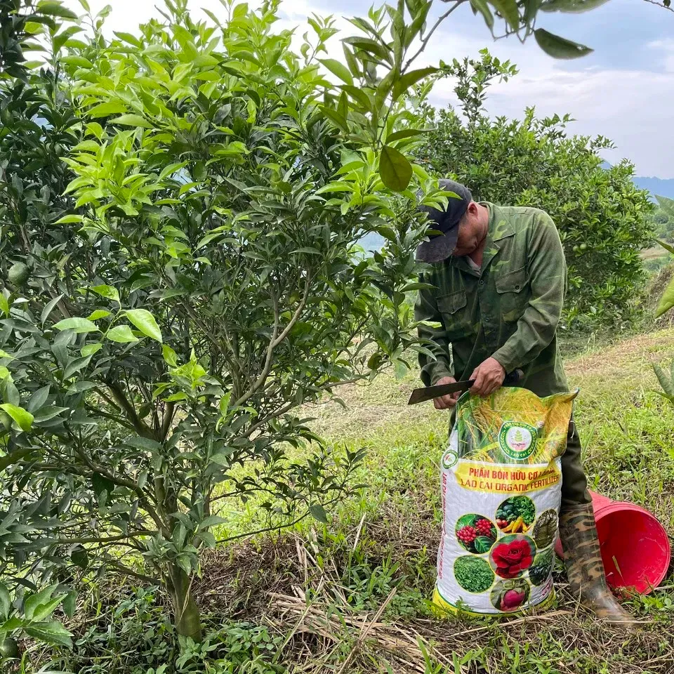 Fertilizante orgánico compuesto biológico de fábrica de alta calidad a precio barato para suelo agrícola y enriquecimiento