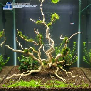 Madera Flotante para Acuario, Raíces de Manglar Naturales para Decoración de Acuarios, Venta Caliente 2025 - Product Image 5