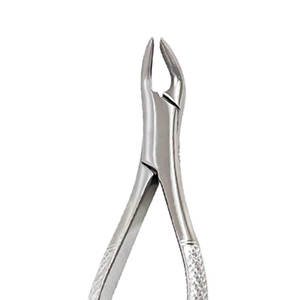 Fórceps de Extracción profesional Herramientas de extracción de dientes dentales Instrumentos de cirugía oral Fórceps de acero inoxidable - Product Image 2