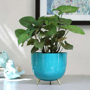 Jardinières d'intérieur/extérieur de vente chaude jardinière en pot de gros enduit de poudre pour le jardin domestique - Product Image 2