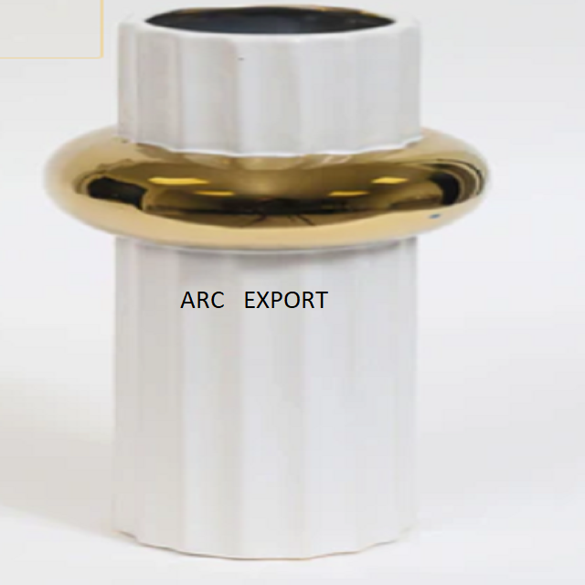 สีขาวและสีทอง