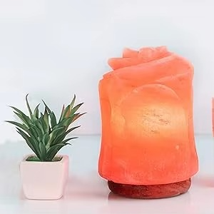 Lampe au sel de l'Himalaya de haute qualité en forme de rose personnalisée Décoration intérieure moderne Acheter une lampe au sel unique pour votre maison - Product Image 4