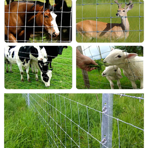Độ bền kéo cao mạ kẽm lĩnh vực trang trại bản lề Doanh hàng rào/gia súc hàng rào/Hog dây hàng rào - Product Image 3