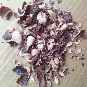 Cáscara de Anacardo de Primera Calidad para Energía de Biomasa y Combustible Industrial - Product Image 4