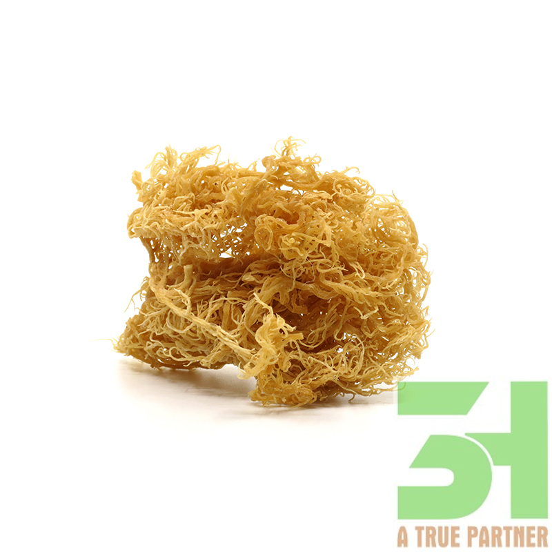 Золотые/белые сушеные ирландские морские сливы из Азии (Вьетнам)