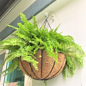 Jardinières de jardin, revêtement en fibre de coco, tapis de remplacement pour jardinière de balcon extérieur, panier suspendu en métal - Product Image 4