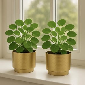 Macetas de Metal con acabado dorado a la moda, forma redonda para el Interior del hogar, mesa, Patio, porche, maceta decorativa de flores - Product Image 2