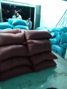 Graines de Coix Séchées (Larme de Job) VIET SEAFARM de Haute Qualité 4-6mm Sans Coquille pour l'Agriculture Offre Spéciale Exportation du Vietnam - Product Image 5