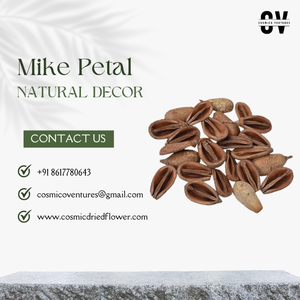 Pétales de fleurs artisanaux écologiques de qualité supérieure populaires pour mariage, Halloween, remise de diplôme, Pâques, fête des pères, événements à domicile - Product Image 2