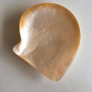 เปลือกหอยมุกที่สวยงาม: คุณภาพที่เหนือกว่าราคาไม่แพงเหมาะสำหรับการทำเครื่องประดับและงานฝีมือตกแต่ง - Product Image 3