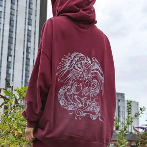 100% coton coréen français Terry doux Streetwear sweats à capuche amples pour dames luxe 500 GSM haute qualité hiver printemps haut à capuche - Product Image 2