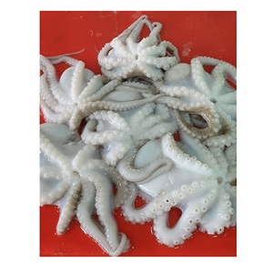 Delicioso Bocadillo de Pulpo Bebé Congelado de Portugal con Ingredientes Naturales, Caja de 10 kg - Product Image 5