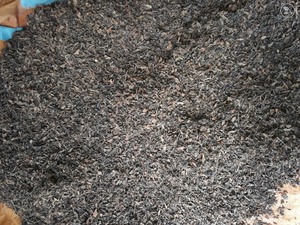 Prix bon marché et feuilles de gelée d'herbe de haute qualité fabriquées au Vietnam - Product Image 5