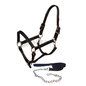 Combinación de cabestro y brida de caballo de cuero inspirado en la silla de montar inglesa con cuero acolchado suave y herrajes resistentes al óxido para un largo plazo - Product Image 4