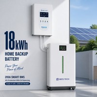 Batterie solaire résidentielle 18 kWh 51,2 V avec affichage en temps réel pour mur d'alimentation domestique, options 300 Ah 314 Ah 350 Ah BEES TECH
