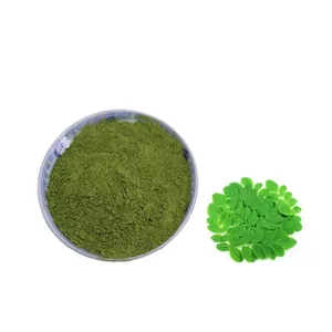 High Quality Organic Moringa Leaf Powder Artificially Planted and Vacuum Packed in Plastic Container 2024 Hot Selling Item