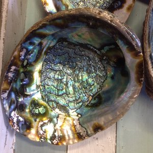 Coquilles d'ormeau vietnamiens: Transformer la beauté brute en superbes œuvres d'art et bijoux - Product Image 2