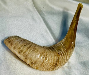 Corne de bélier koudou naturelle faite à la main Shofar pour souffler religieux à des fins de décoration de la maison Casher écologique de haute qualité poli - Product Image 4