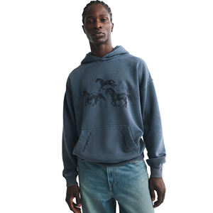 Sudadera con Capucha Personalizada de Alta Calidad, Unisex, de Color Sólido, Estampada, para Hombre, de Algodón Grueso para Invierno - Product Image 1