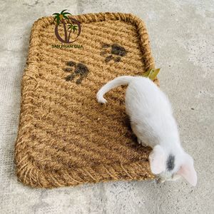 Estera de fibra de coco hecha a mano/Alfombra de coco natural PET al aire libre estera para mascotas al por mayor de proveedor de Vietnam - Product Image 4