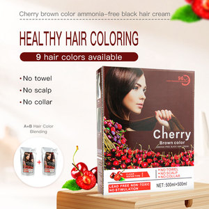 Meilleure crème de coloration capillaire coréenne biologique au parfum secret, 500ml x 2, utilisation en salon, pour teinture capillaire au <span class=keywords><strong>caramel</strong></span>, marque privée, échantillons gratuits - Product Image 2