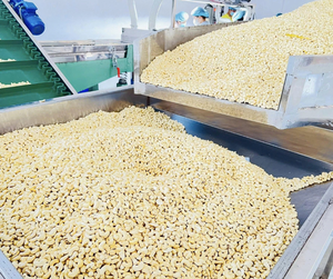 Núcleos de Anacardo de Grado de Exportación - Anacardos Estándar de Vietnam para la Industria de Snacks y Fabricantes de Alimentos - Product Image 4