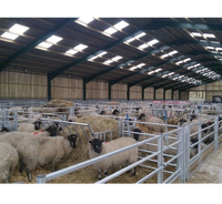 Structure en acier résistante au vent de haute qualité, hangar à moutons en métal, taille personnalisée, hangar pour ferme de chèvres