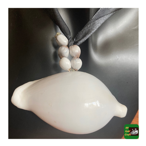 Conchas de Cauri Blancas Naturales Grandes de 6-8 cm, Pulimentadas, al por Mayor para Manualidades, Accesorios Náuticos para el Hogar - Product Image 1