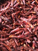 Piment séché de l'usine dirigée au Vietnam/Piment rouge séché aux épices simples de haute qualité
