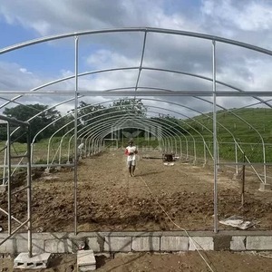 Multi-span PE Film <strong>Greenhouse</strong> System for Commercial Crop Growing Custom Multi-span <strong>Plastic</strong> Film <strong>Greenhouse</strong> for Vegetable Farming - Product Image 4