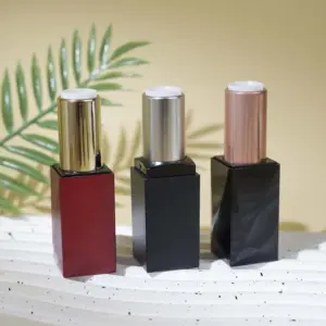 Imballaggio di berlino tubo rossetto vuoto contenitori per rossetto contenitore cosmetico rossetti
