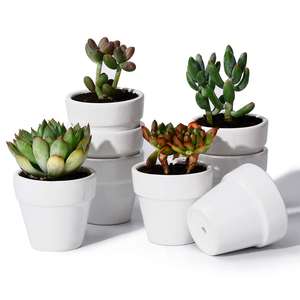 Planteur fait main décoratif extérieur de planteur de fleur en métal coloré noir pour l'utilisation de décoration de jardin de maison et d'hôtel - Product Image 5