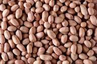 Cacahuetes Enteros Frescos de Primera Calidad Orgánica, Crujientes, Secos, Naturales, Refrigerio, Alto en Proteínas, Sin Gluten, Sin OMG, Suministro a Granel - Product Image 2