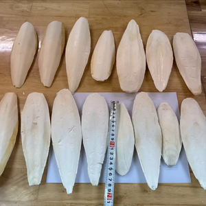 NATURAL DRIED <b>CUTTLE</b> <b>FISH</b> <b>BONE</b> WHOLESALE AT AFFORDABLE PRICE - Product Image 4