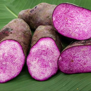 Ñame morado congelado a granel Verduras congeladas de grado premium para mayoristas y Mercado Global - Product Image 1