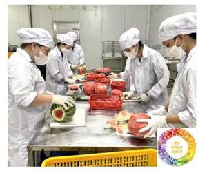 Sandía congelada dulce fresca Vietnam lista para envío Premium IQF para bebidas, suministro a granel de sandía congelada de calidad de exportación - Product Image 4